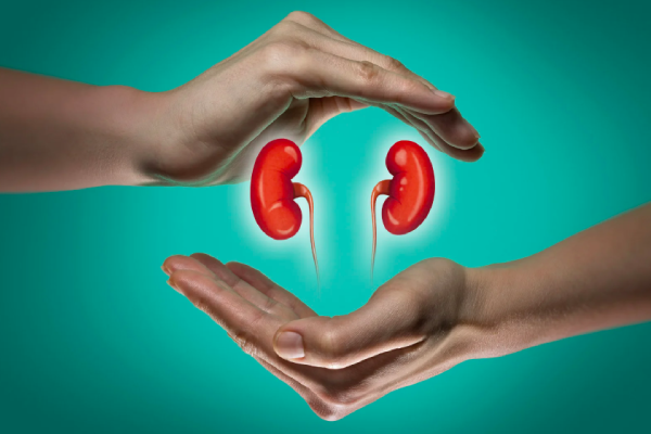 Kidney Stone Bharatpur